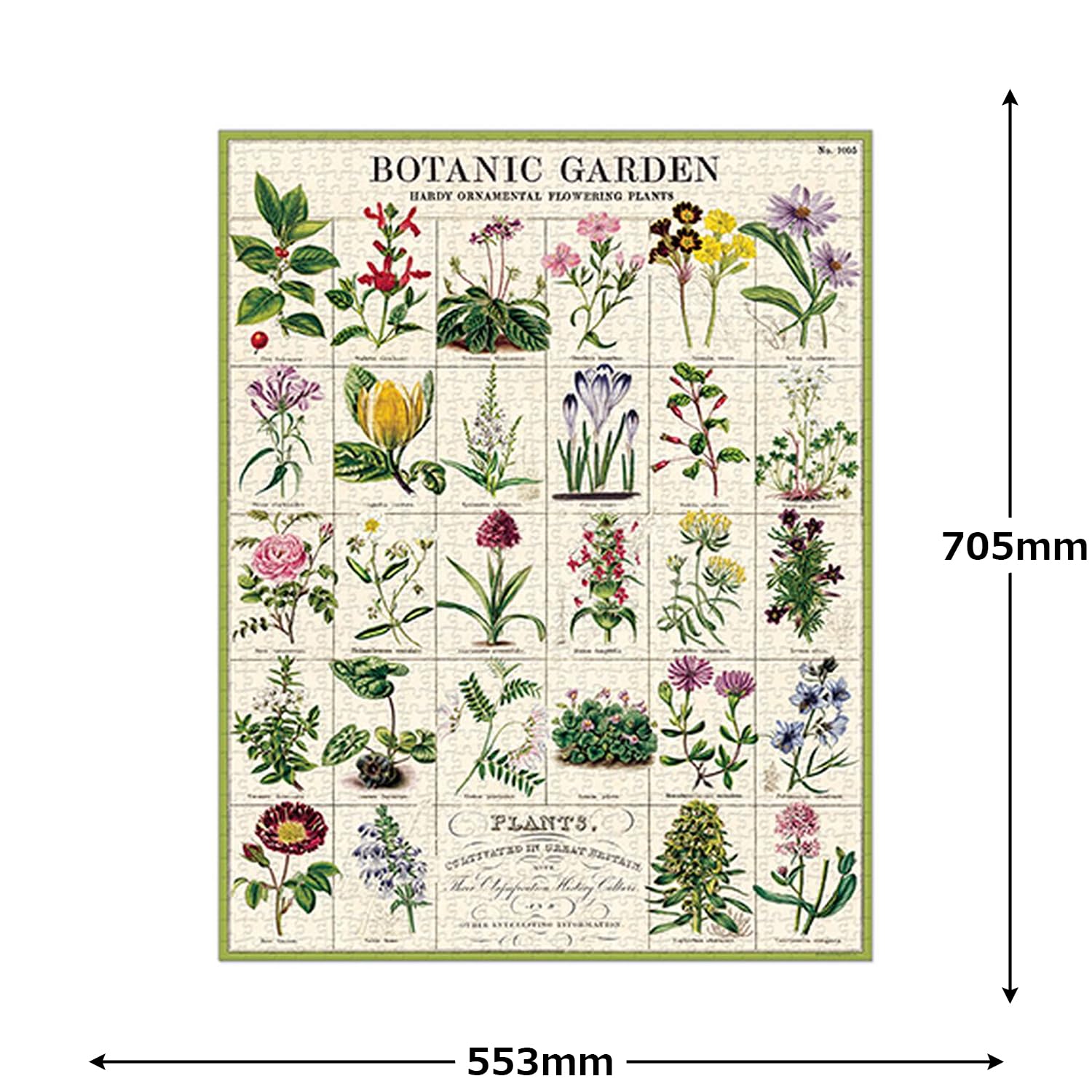 Cavallini 1000 Piece Puzzle, Botanic Garden (PLZ/BOTGRD)