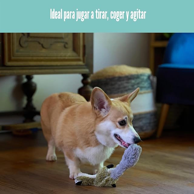 Foto 8 de 8 de SKINNEEEZ Spot Juguete para Perro sin Relleno con chirriador, Juguete chirriante de Mapache de Peluche…
