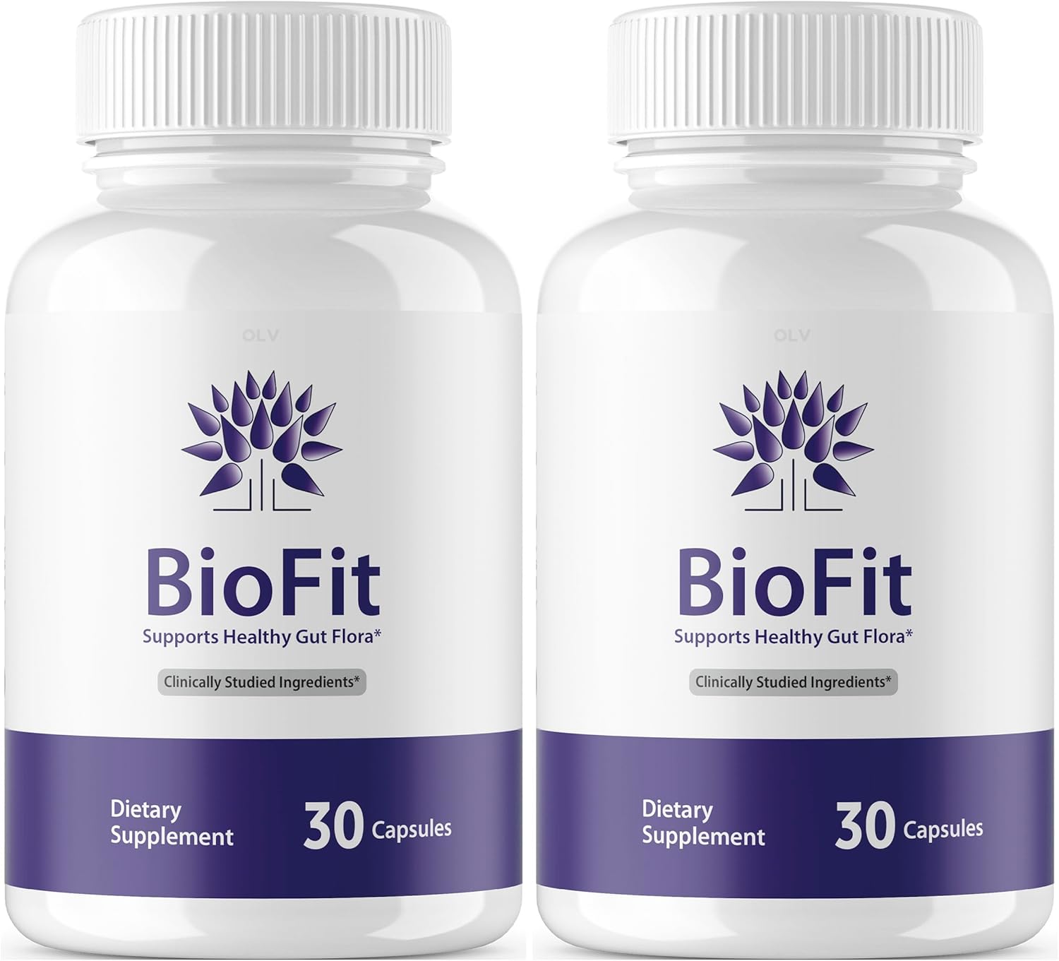 (2 Pack) Biofit Biofit Pills, Biofit 60 Capsules for 60