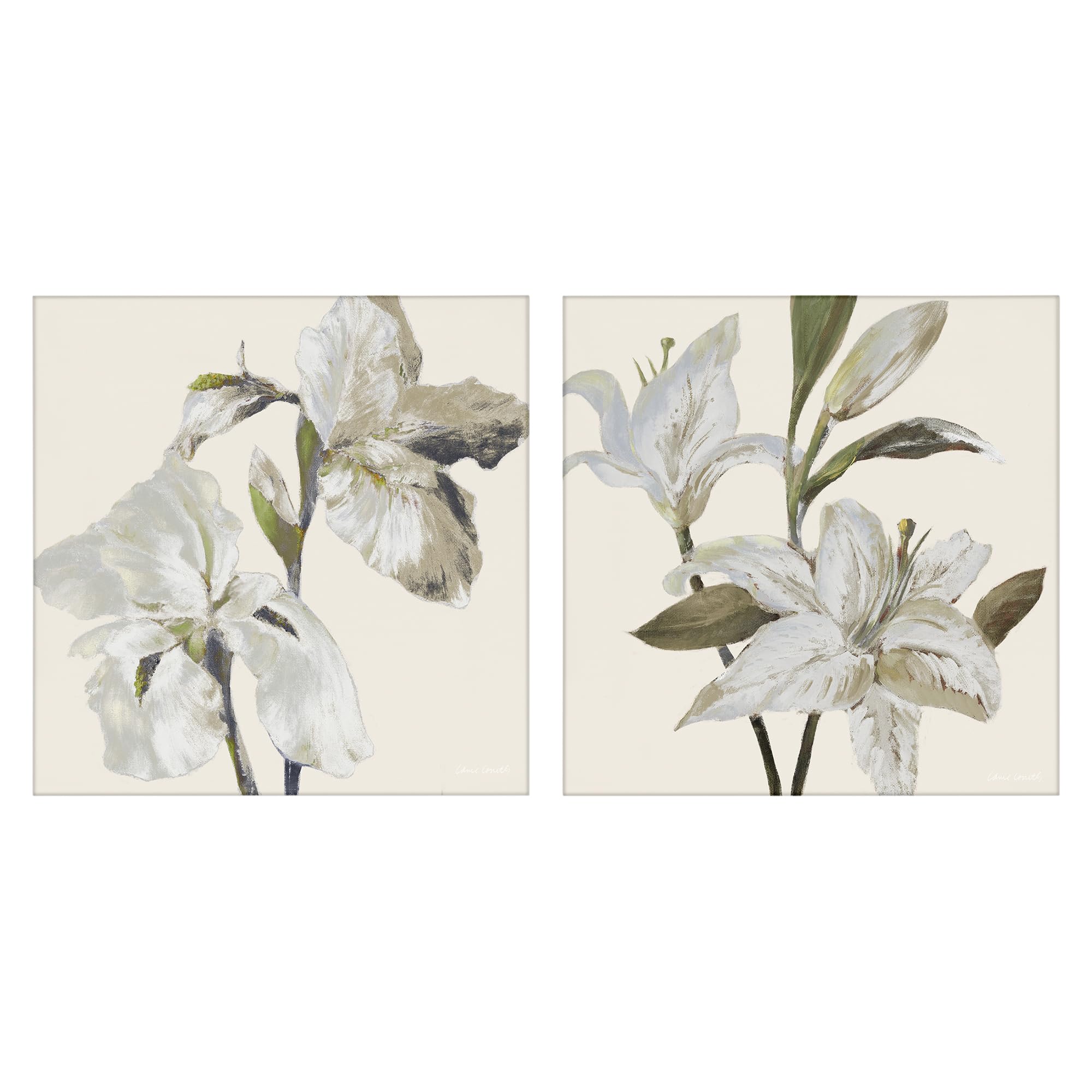 Stupell Industries Irises Lilies Soft Beige Soft Beige Iris And Lily, 24 X 24 Inch Canvas Wall Art Set