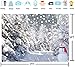 Winter Forest Backdrop Winter Forest Wonderland Nature Scenery Photography Background Christmas Xmas New Year Holiday Party Decorations Banner (7x5FT（210x150cm）)