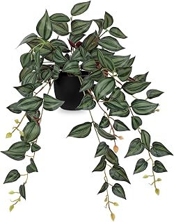 DILATATA Fake Plants Artificial Potted Plants 20 Inch Faux Peperomia Ivy Vine Plant Hanging Plant for Home Office Desk Shelf Indoor Outdoor Decor
