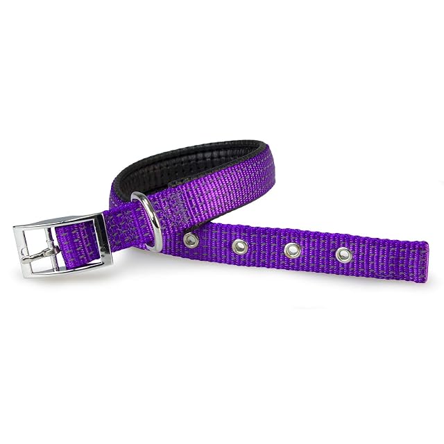 Foto 2 de 3 de Arquivet Collar nylon morado - 2,5 x 53 cm