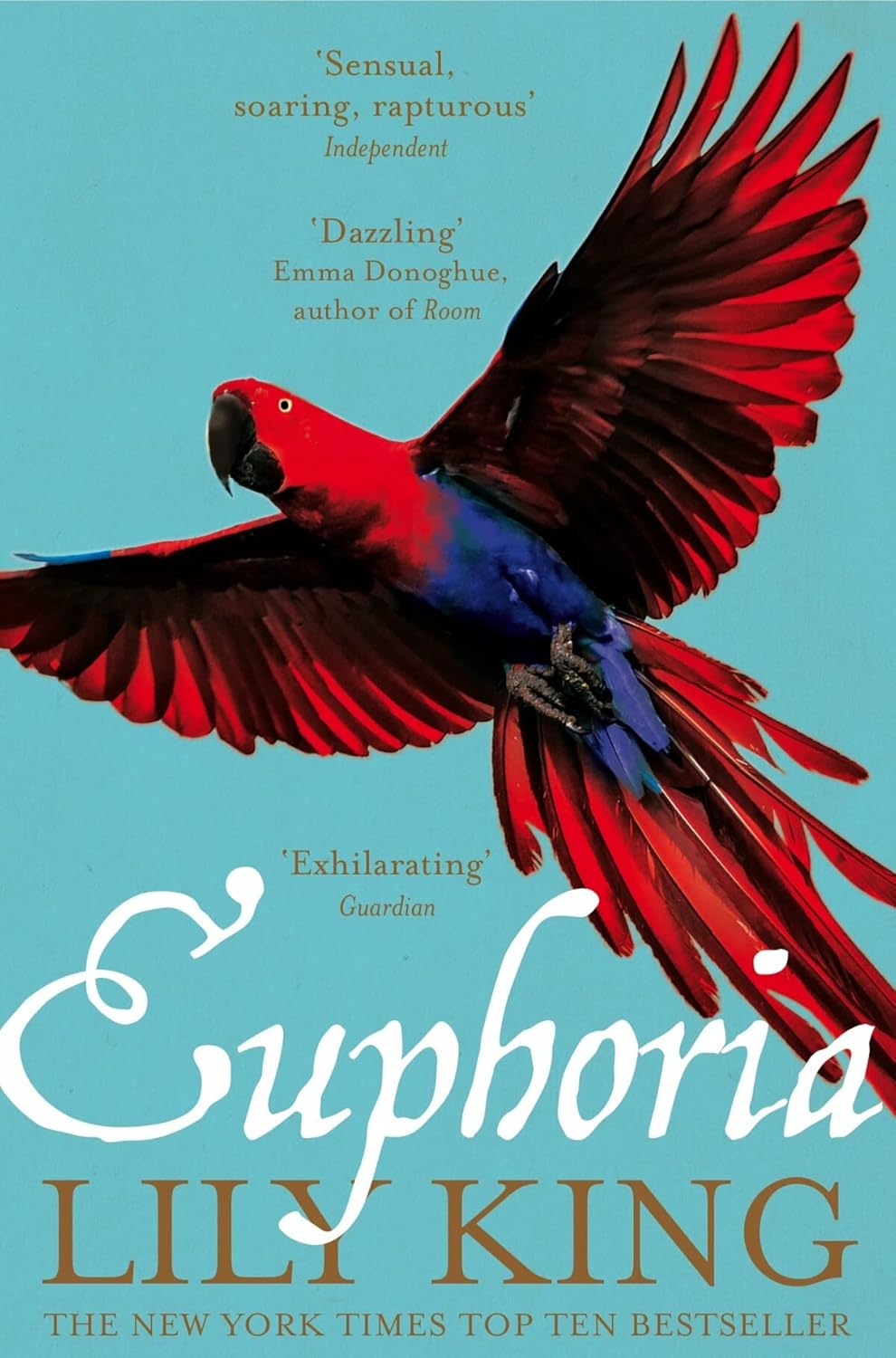 Euphoria Lily King Amazon.co.uk King, Lily 9781447286196 Books