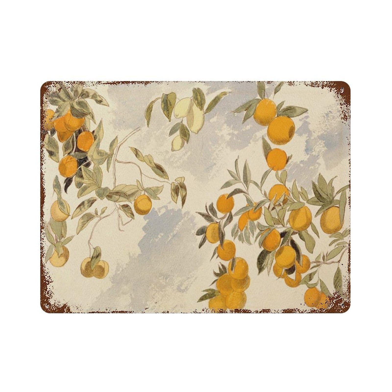 xiaoxiaoshen Orange Fruit Watercolor， Kitchen Farmhouse Wall Decor Art Metal Tin Poster Modern Home Decor Art Home Bar Shop Decorations Vintage Sign 30x40cm