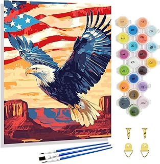 Yunnuo Paint by Numbers Kit for Adults Bald Eagle,National Park Adult Paint by Number Kits,American Flag Paint by Number Canvas,Suitable for Home Wall Decor & Gift (15.7x19.7 inches)
