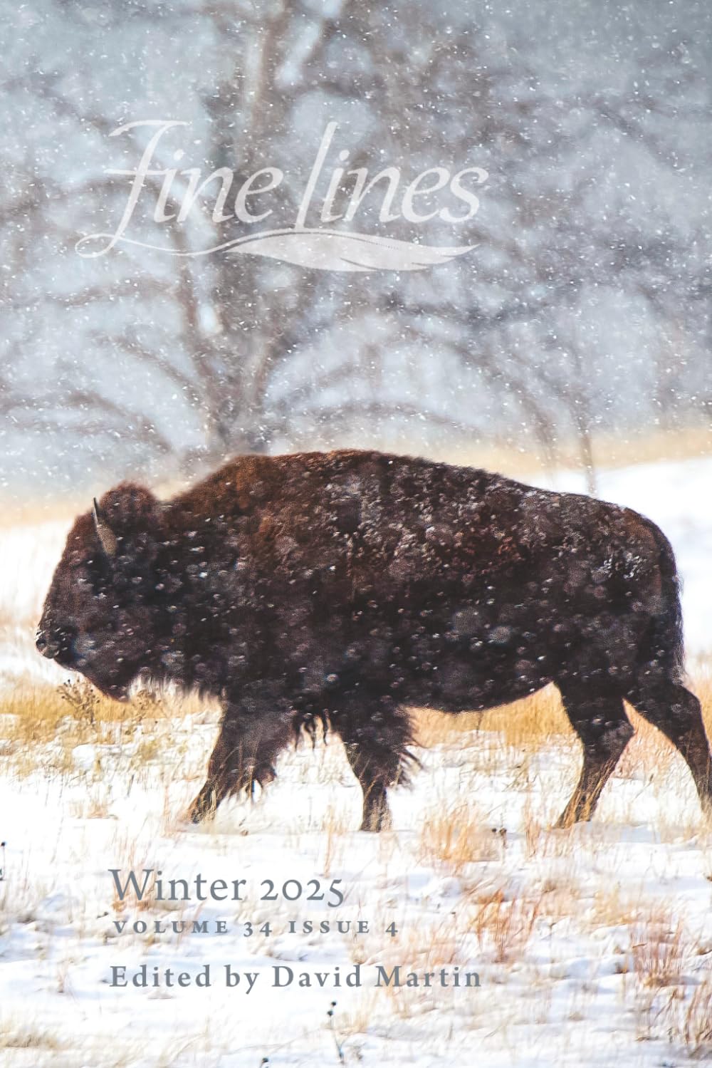Fine Lines Winter 2025: Volume 34 Issue 4