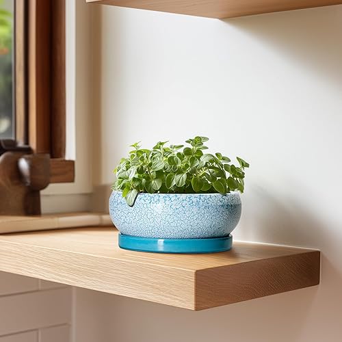 Miniatura 6 de Macetas para bonsái pequeñas de 6 pulgadas con orificio de drenaje y platillo, macetas para suculentas para interiores y exteriores, maceta poco