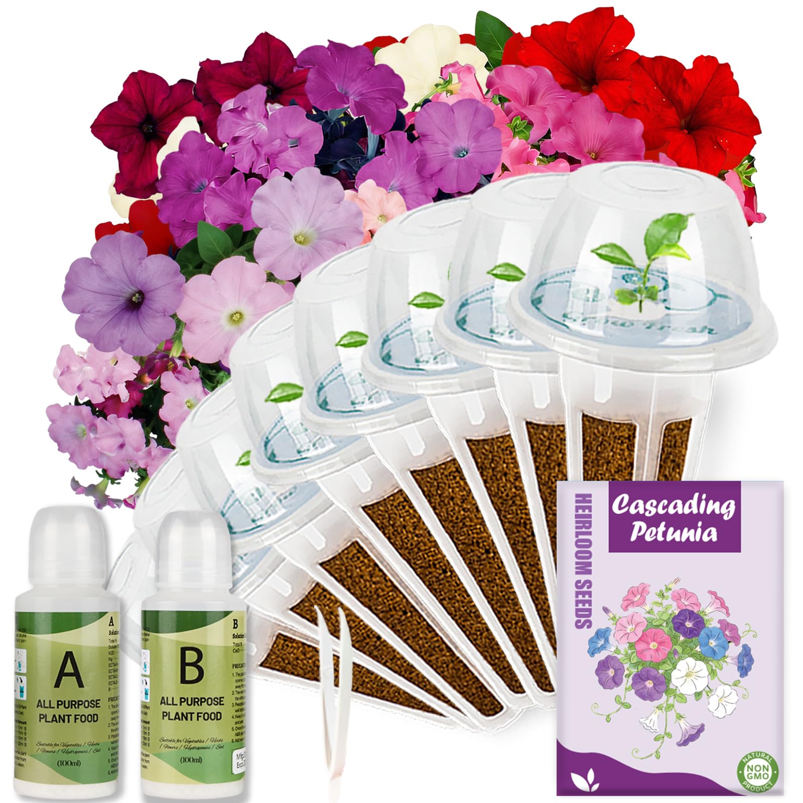 Herblink Cascading Petunia Seed Pod Kit