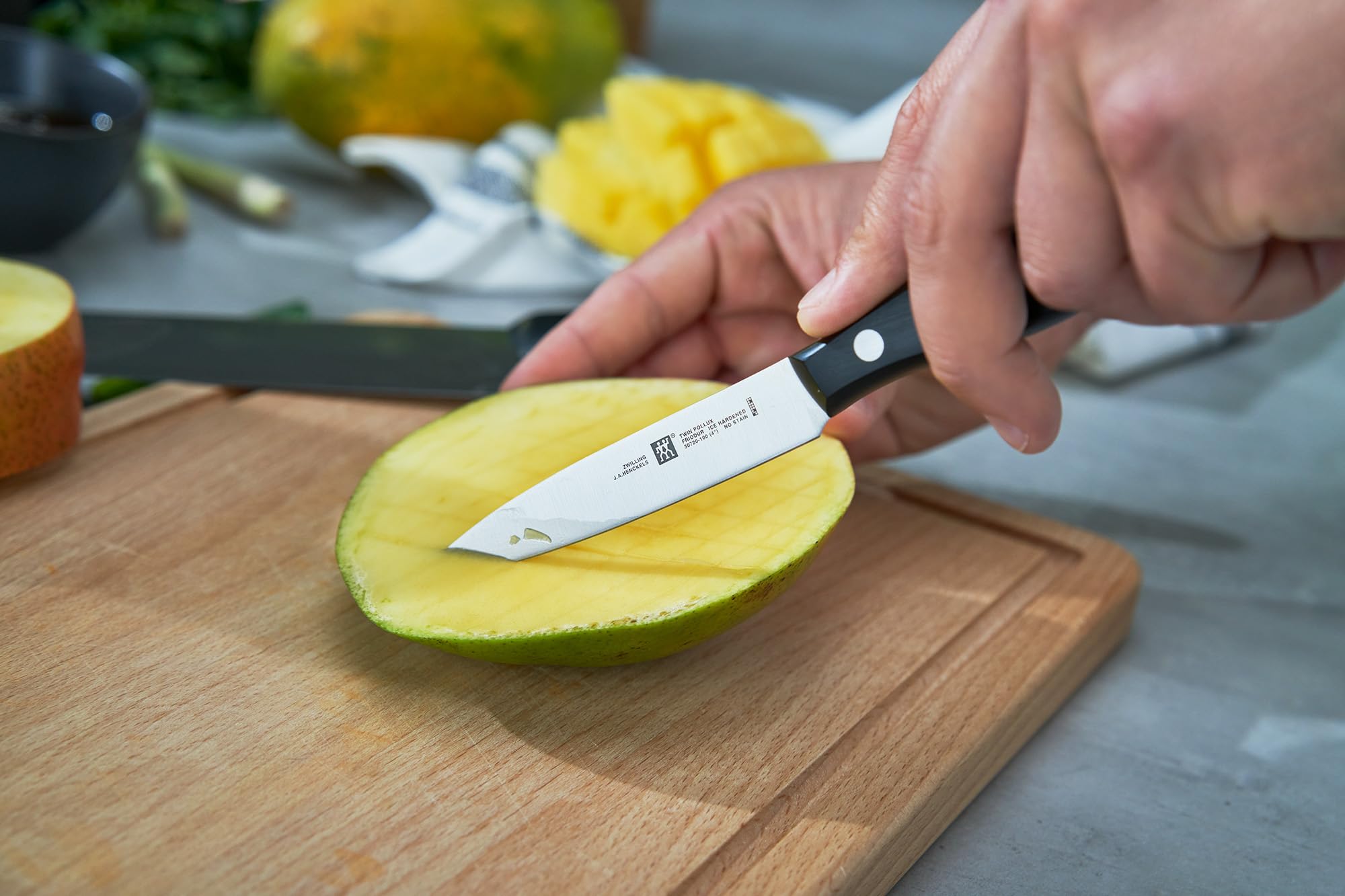 ZWILLING Spelucchino, Lunghezza lama: 10 cm, Lama Stretta, Acciaio Inox /Impugnatura in Plastica, Twin Pollux