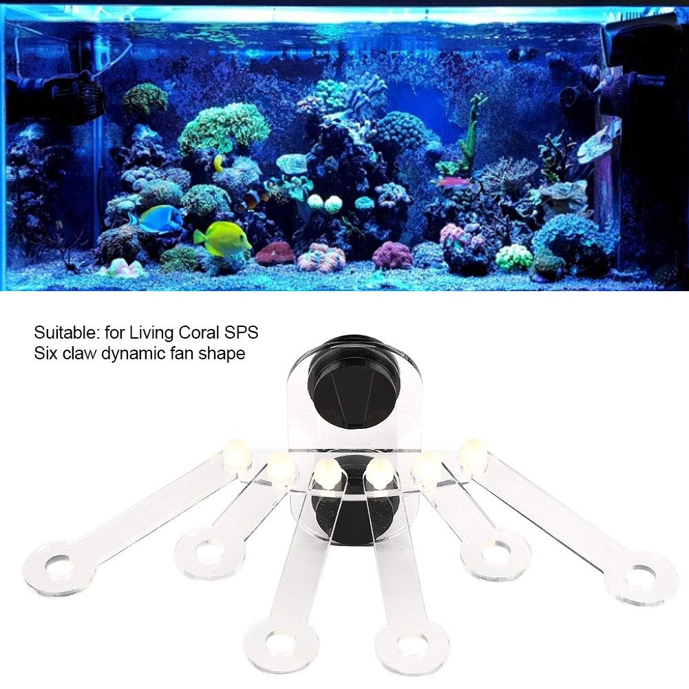 Acquario acrilico Rack Acquario Fish Tank Staffa Rack Staffa di corallo forte magnete per acquari