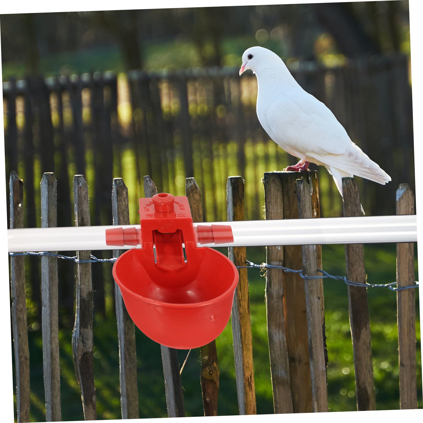 30 pezzi Abbeveratoio Regolabile Automatico per Uccelli e Piccioni Ciotola di Abs Resistente per Acqua Adatta per Volatili e Quaglie Utilizzo Sicuro e Pratico per Colore Casuale