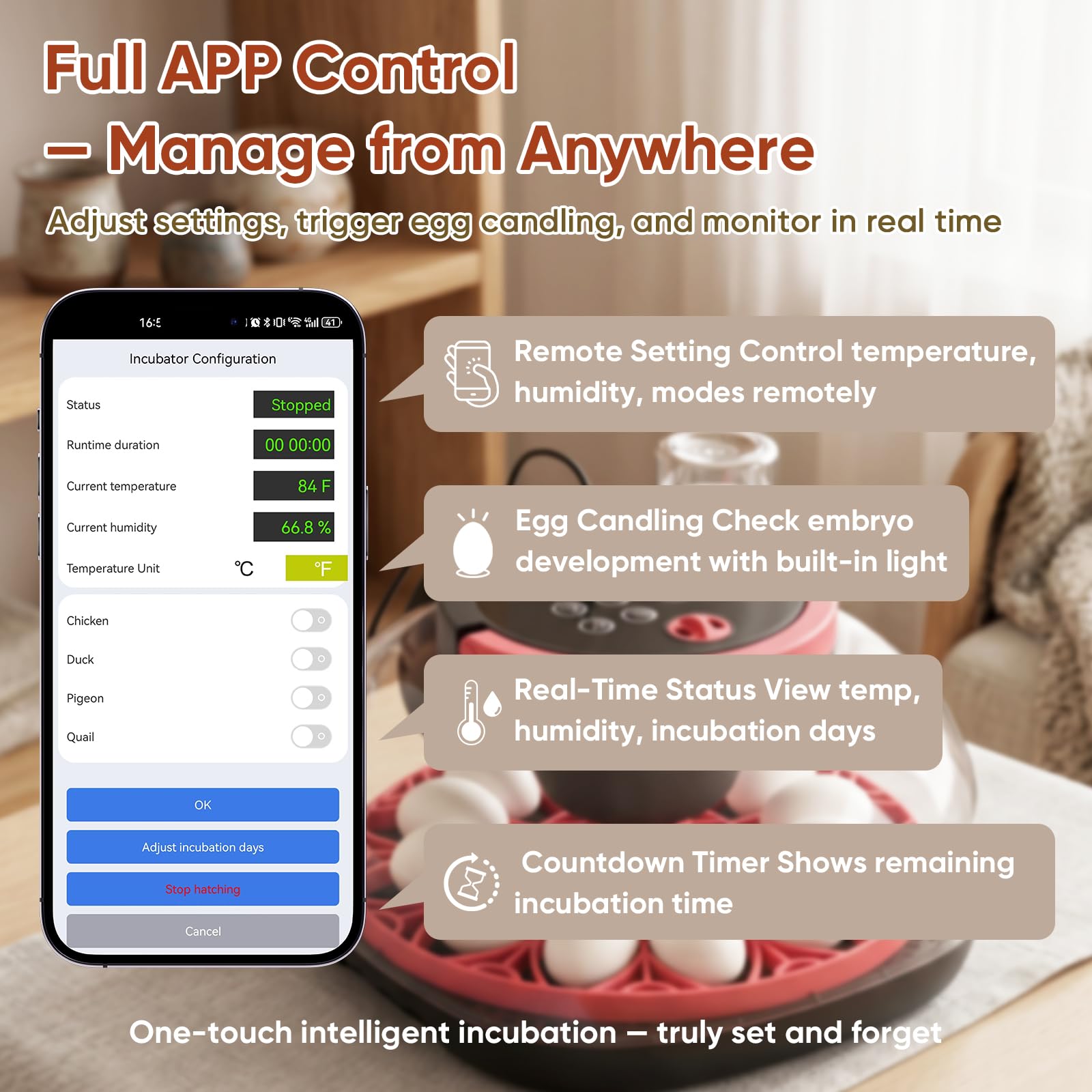 MYPIN Automatischer Brutkasten für 12 Eier, mit Kamera und App-Steuerung, Temperatur- und Feuchtigkeitsmonitor, automatischer Wender, für Hühner, Enten, Wachteln und Tauben