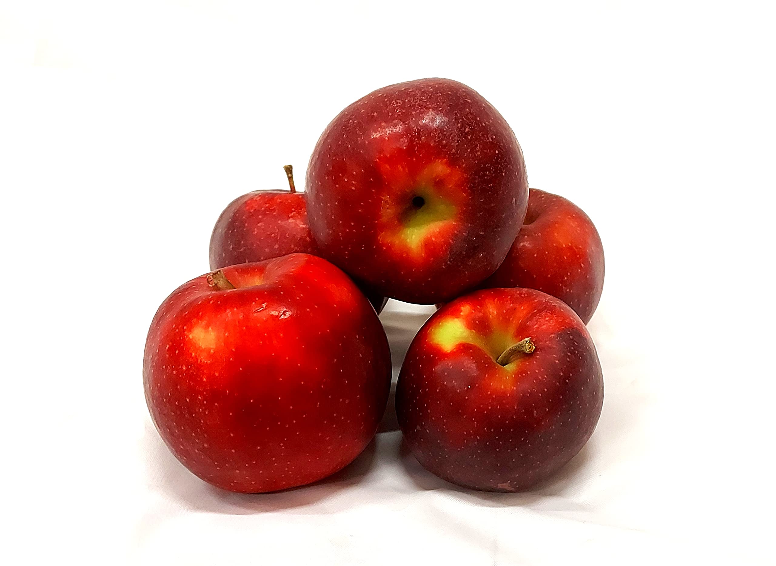 Äpfel Red Jonaprince Jonagold Price Red Prince aus Deutschland/Bodensee saftig süß-säuerlicher Tafelapfel 8 KG