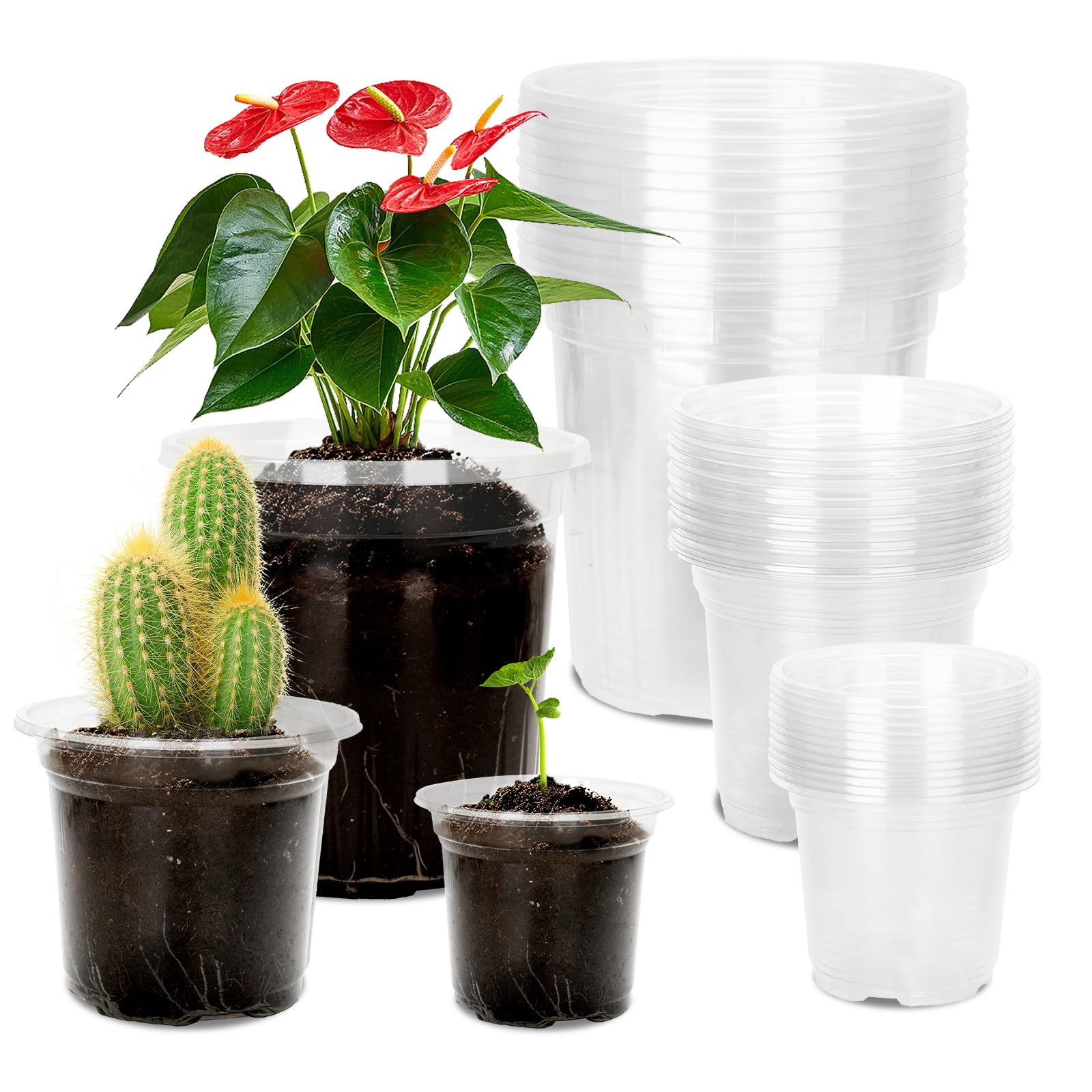 KINGLAKE 36 Stück Anzuchttöpfe Pflanztopf Durchsichtig, 10/12.7/16.5cm Blumentöpfe Anzuchttopf Plastik, Pflanztöpfe Orchideentopf Transparent Klein, Töpfe Untertopf für Pflanzen Orchideen