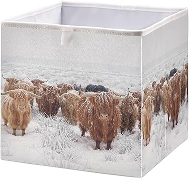 linqin Scottish Highland Cow Print Cube Storage Basket Collapsible Open Storage Bins Baby Nursery Basket Organizer with Handles for Shelves Closet Home Decor