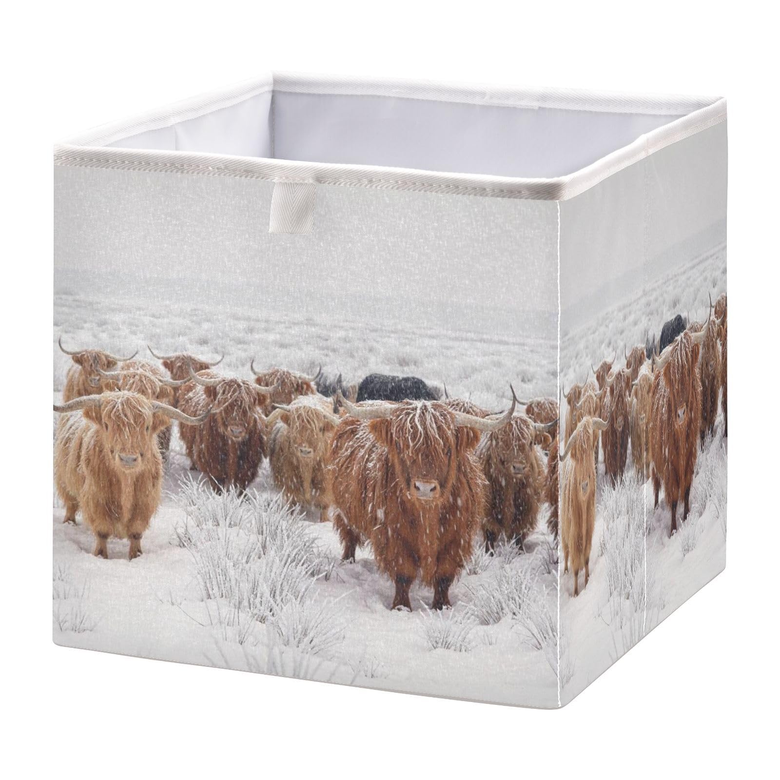 linqin Scottish Highland Cow Print Cube Storage Basket Collapsible Open Storage Bins Baby Nursery Basket Organizer with Handles for Shelves Closet