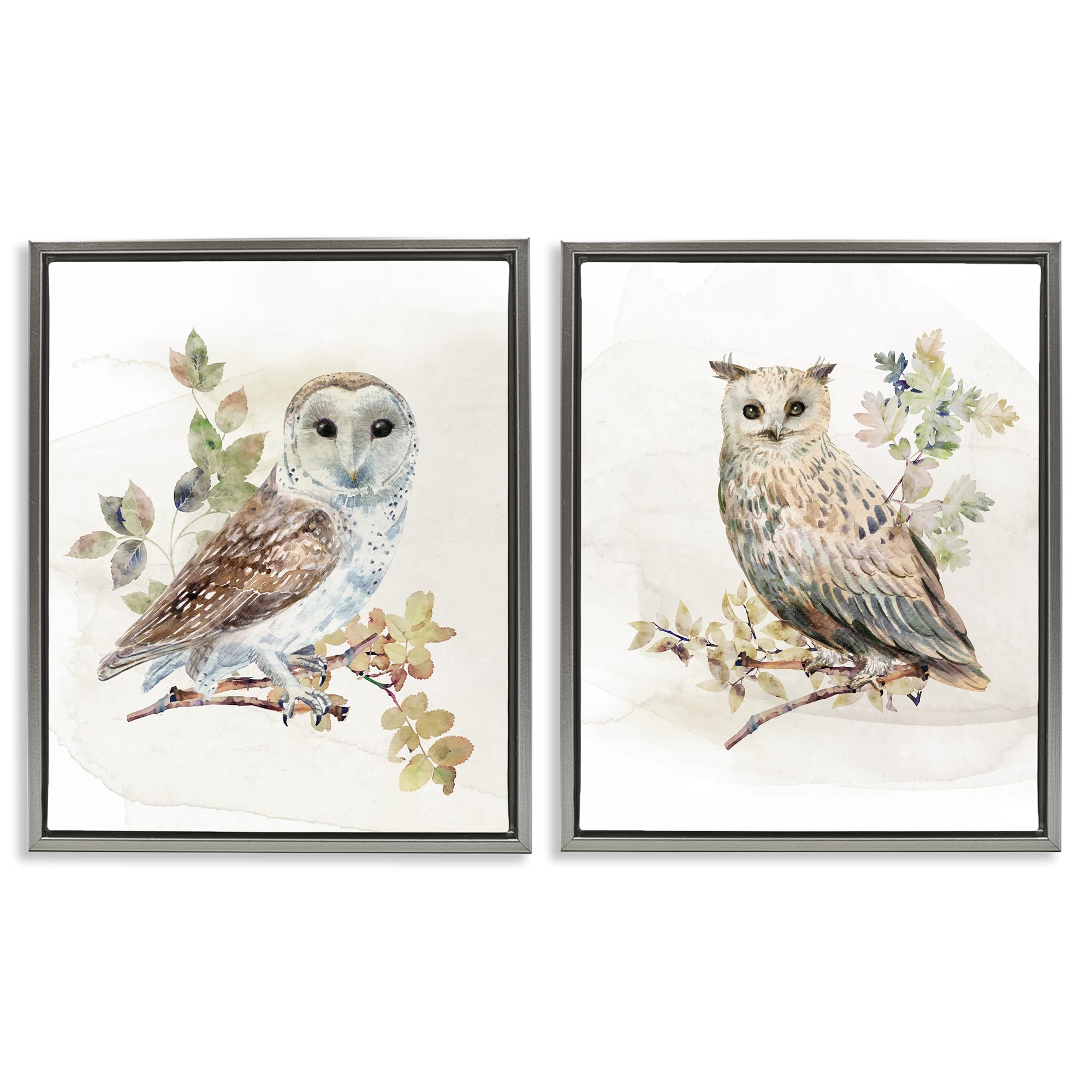 Stupell Industries 'Owls Perched in Foliage', 2pc Floating Frame Art Set 2, Gray, 25 x 31 Inches, Easy to Hang and Sturdy, Made in USA, by CAD Designs