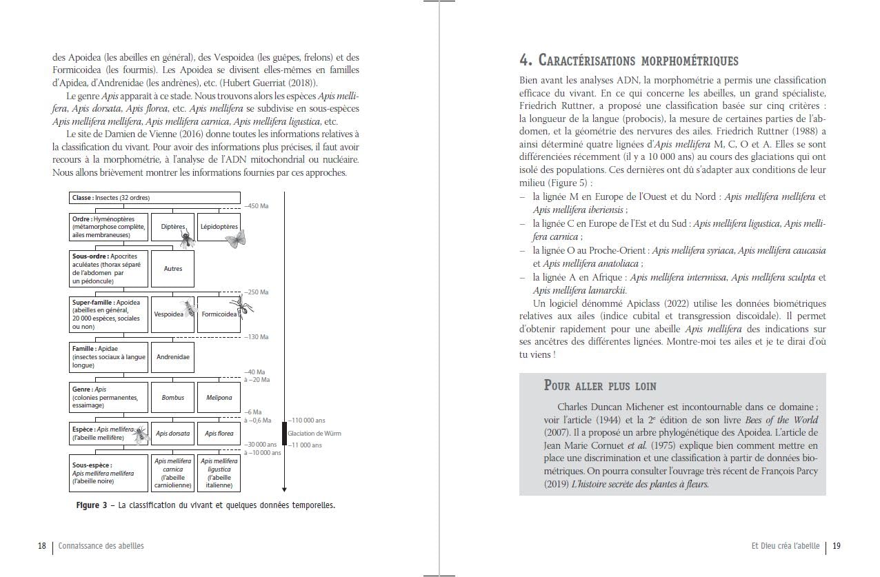 Connaissance des abeilles: Pour une apiculture rationnelle - Biologie, Reproduction, Comportement, Ruches, Produits de la ruche