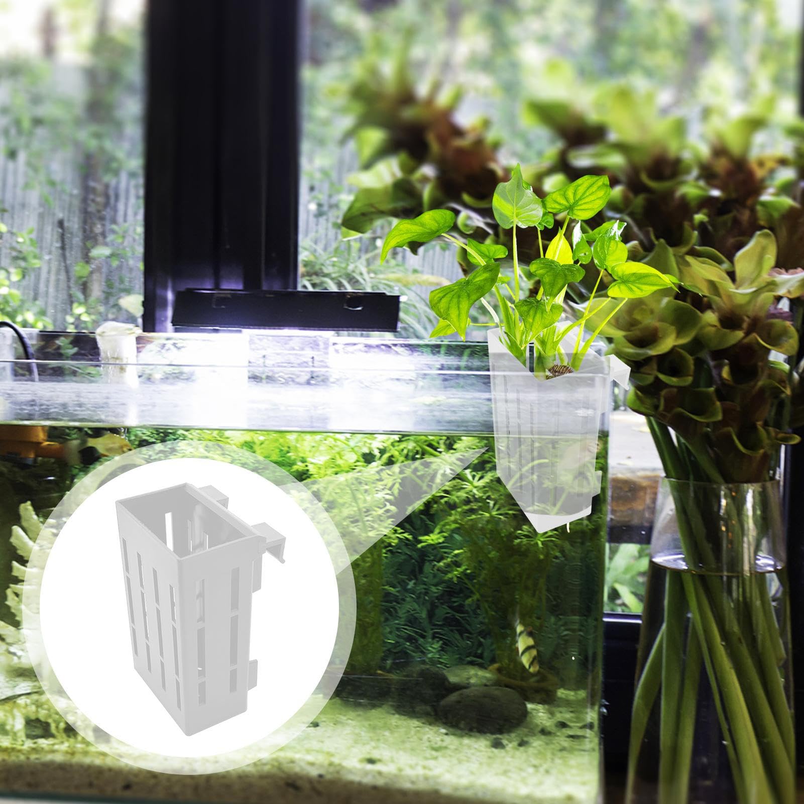 Aquarien Pflanzenhalter Hängbares Pflanzengestell Mit Loch