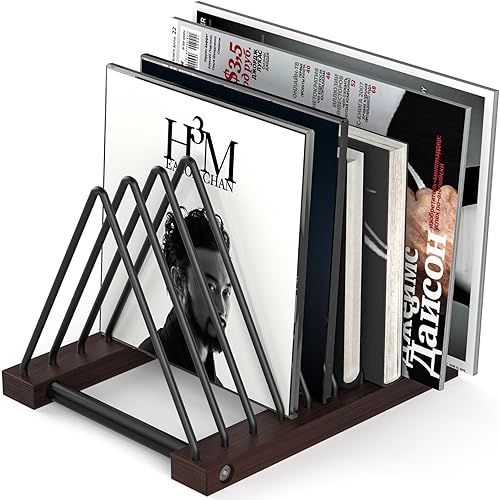 Pashion Estante de almacenamiento de discos de vinilo, soporte de escritorio desmontable para colecciones de álbumes, organizador duradero para