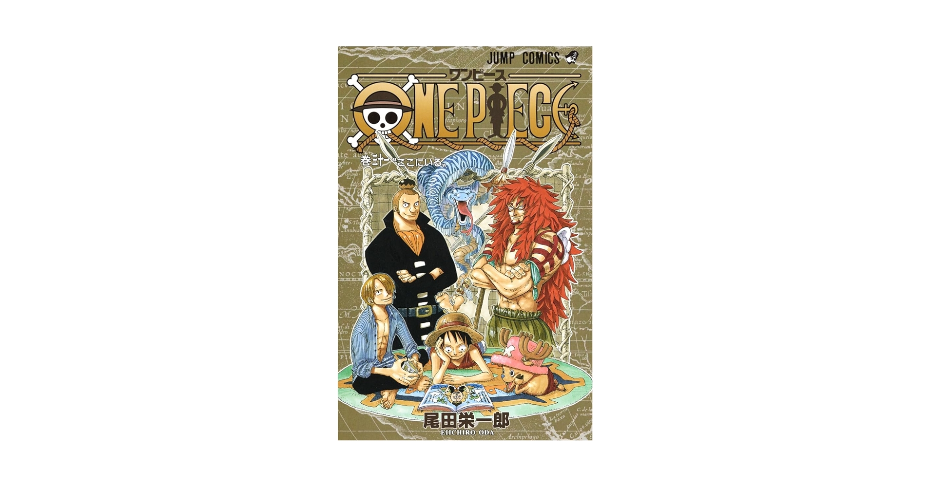 Amazon.com: One Piece Vol 31 (Japanese Edition