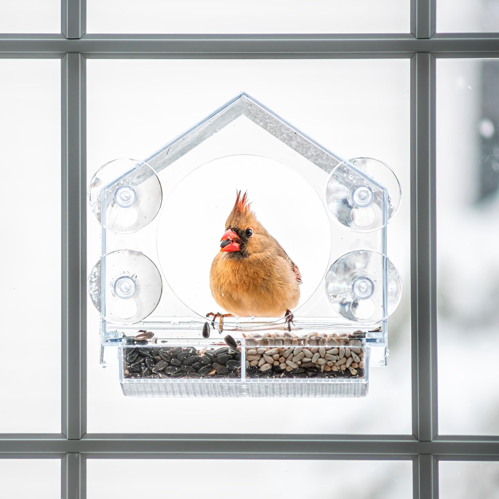 Qancekoo Lot De 6 Ventouses à Vis Pour Verre - 40 Mm - En Plastique PVC Transparent - Sans Crochet - Ventouse Extra Forte - Pour Salle De Bain, Mur, Fenêtre, Voiture