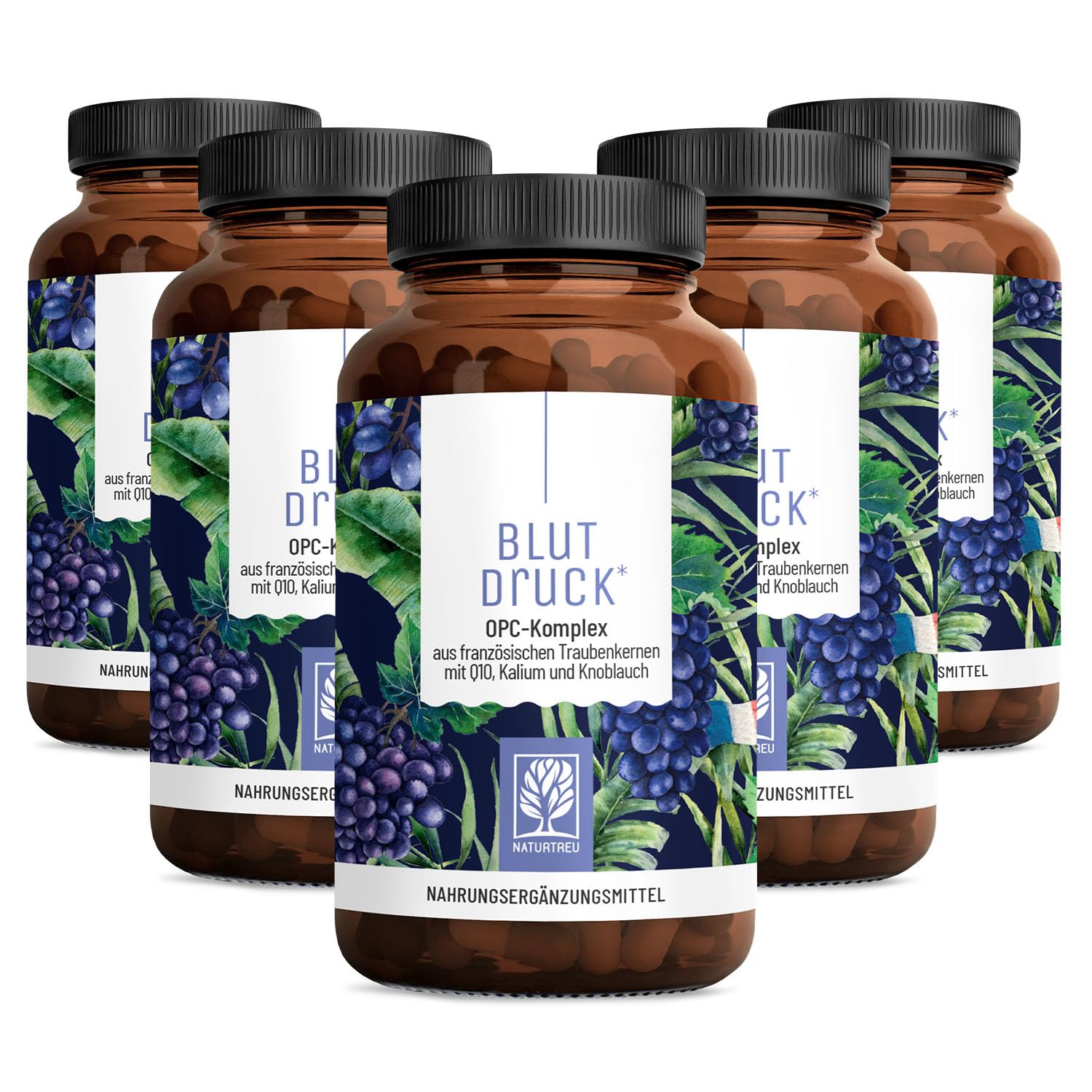 NATURTREU® Blutdruck - OPC Traubenkernextrakt hochdosiert 900mg Extrakt mit Q10, Kalium & schwarzem Knoblauch - Französische Trauben vegan - 450 Traubenkernextrakt OPC Kapseln hochdosiert