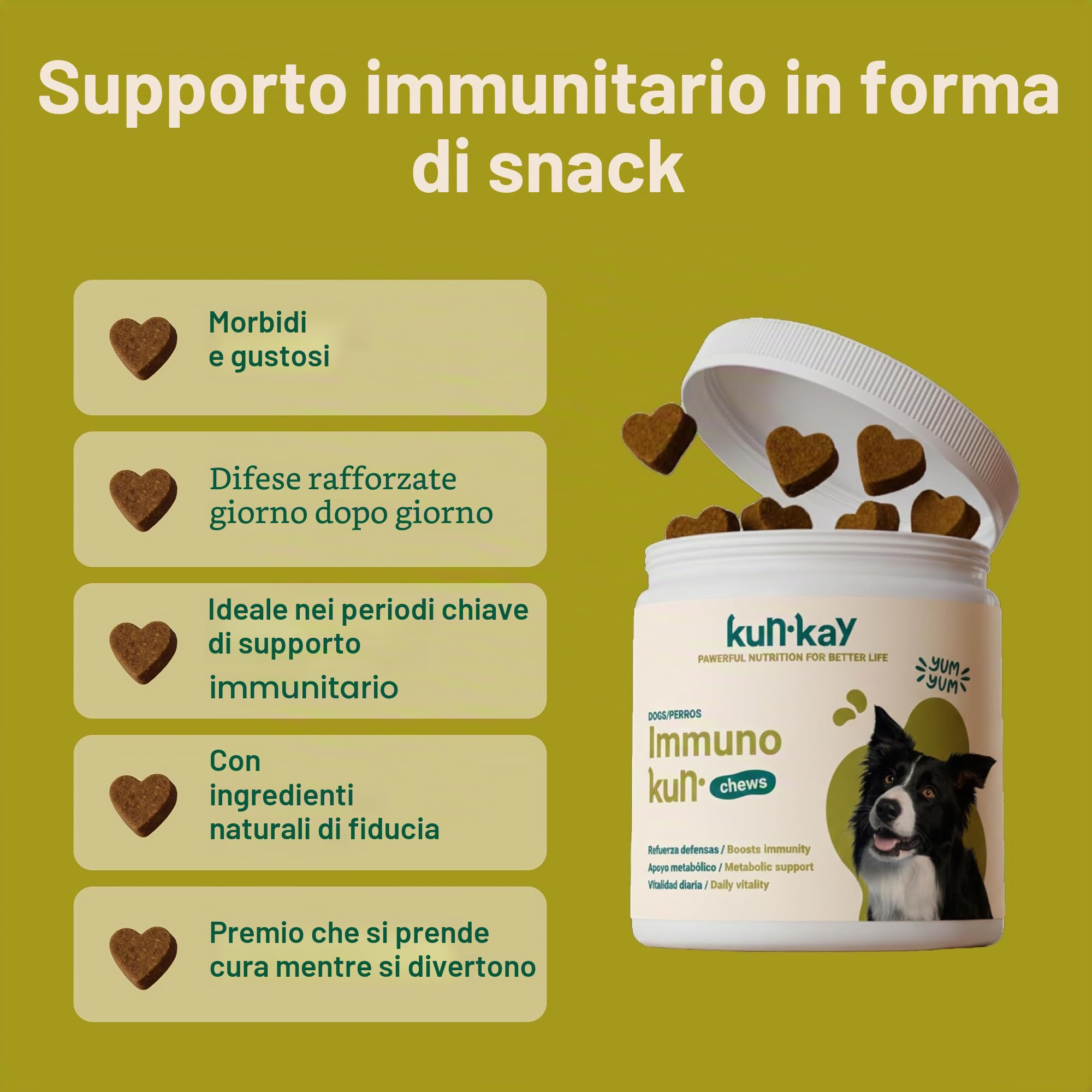 ImmunoKun - Probiotici per supporto digestivo per cani, 60 masticazioni | Premi sani, beta-glucani per rafforzamento immunitario, supporto digestivo e leishmaniasi, senza sostanze chimiche