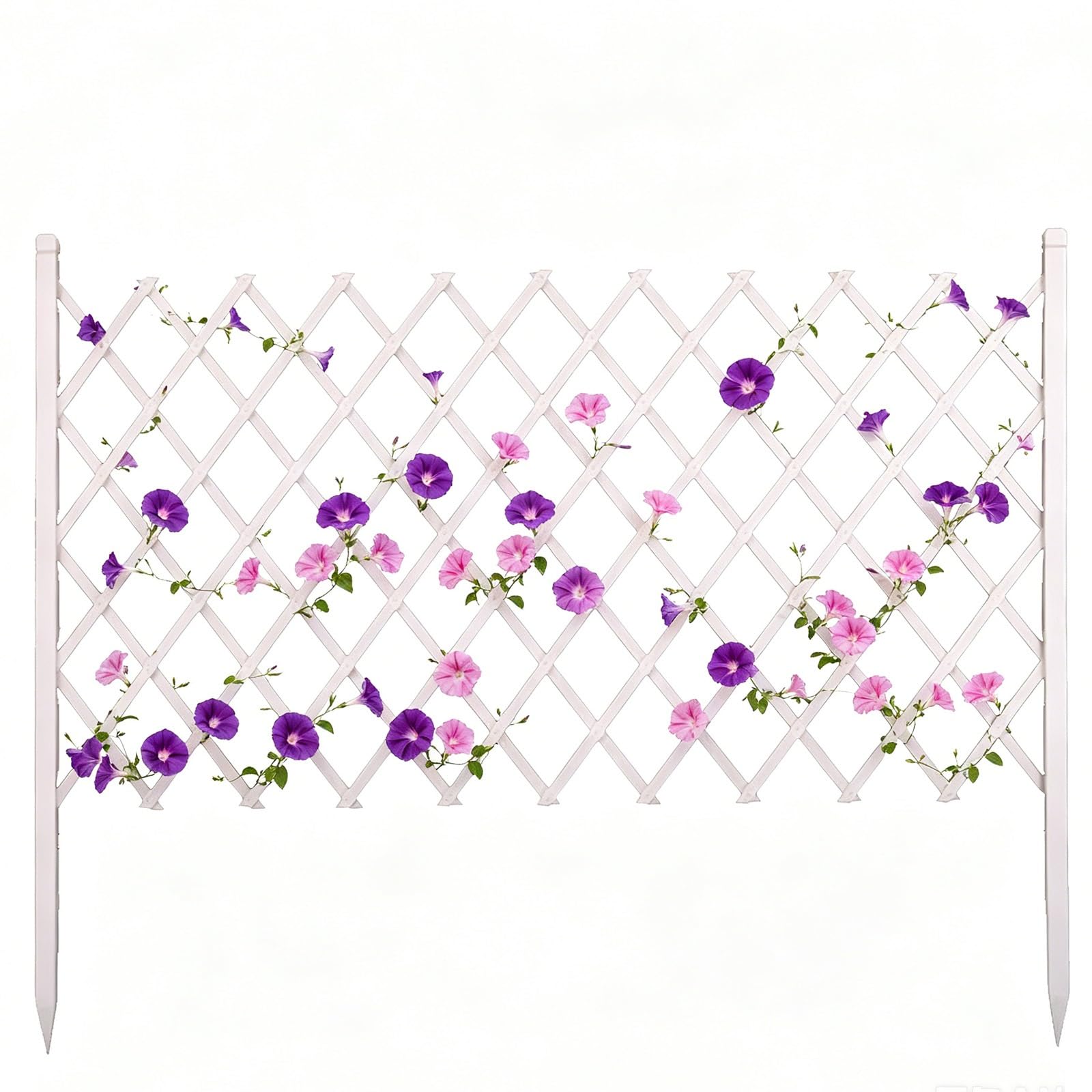Clôture Jardin Extérieur en Bois Massif, Barrière Jardin Extensible à Planter, Treillis Bois Pliable Bordure Gazon Claustra Extérieur Paravent Décoratif(Blanc,180cmHx220cmL)
