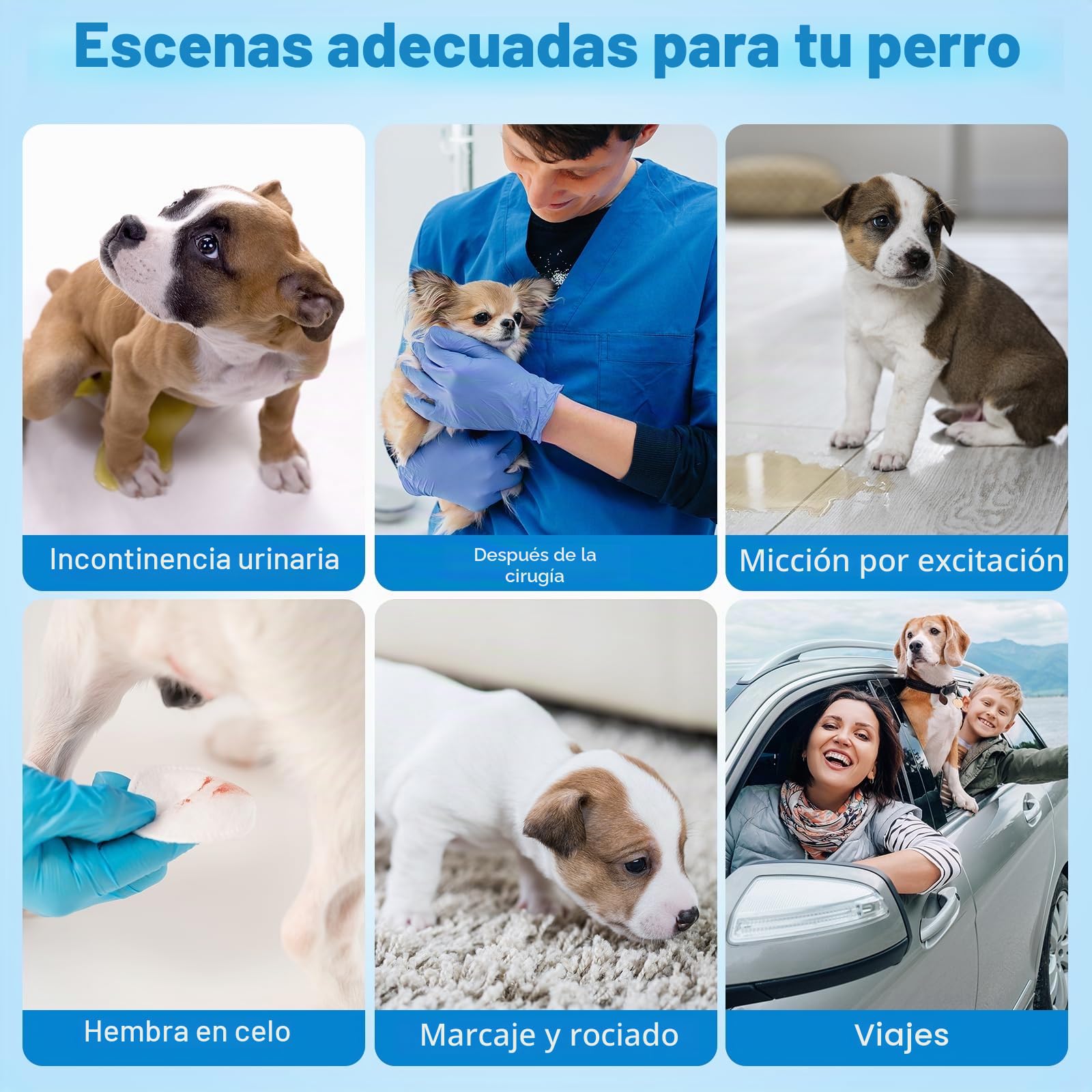 Pañales Desechables L-30 para Perros, Cintura elástica de 360 Grados, se Adapta a Cintura de 30 a 50 cm, pañales Grandes para Calor, período, incontinencia, Entrenamiento