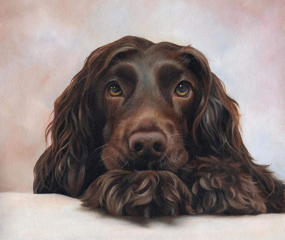 Nprzm H471 English Cocker Spaniel Pet Dog Animal Diy Oil Painting Kit, Paint By Numbers Kit For Kids And Adults 30X40cm