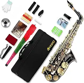 VEDO Saxofone Alto em Mi Bemol (Eb), Banda de Sopro Profissional Acabamento Em Laca Dourada, Para Iniciantes, Saxofone Para Estudantes, Saxofone Alto, Estojo e Completo de AcessóRios, Preto e Dourado