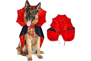 Halloween Costumes for Large Dogs: Spooktacular Styles for Your Canine Companion