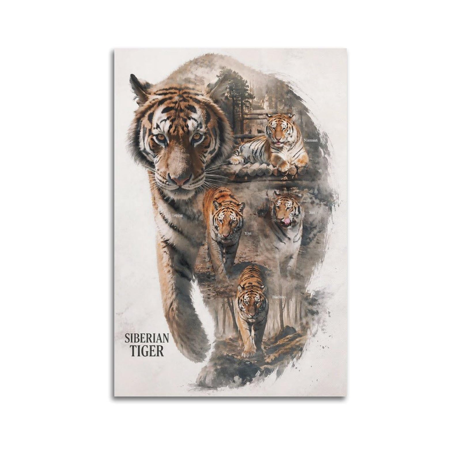 Xkuga Boys Unframe-Style Wild Felines Art Posters Siberian Tiger Predator Safari Modern Decorative Canvas Prints - Ideal Wall Art For Family, Man Cave, Game Room, & Girls Bedroom 20X30inch(50X75cm)