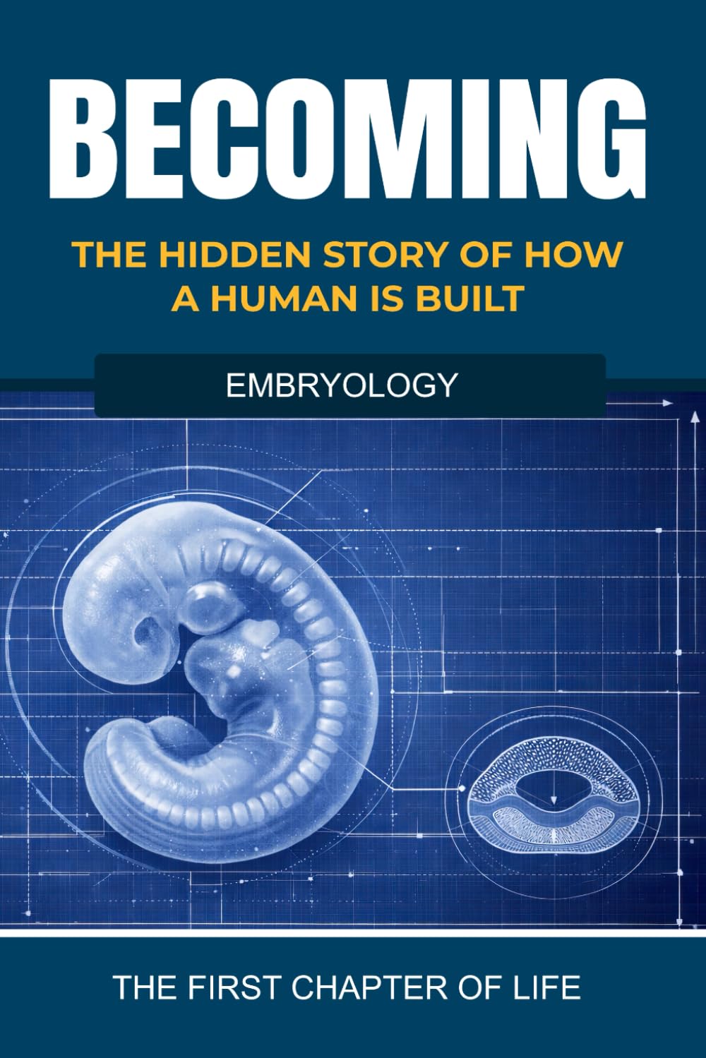Becoming: The Hidden Story of How a Human is Built: The First Chapter of Life (The Hidden Life Series)