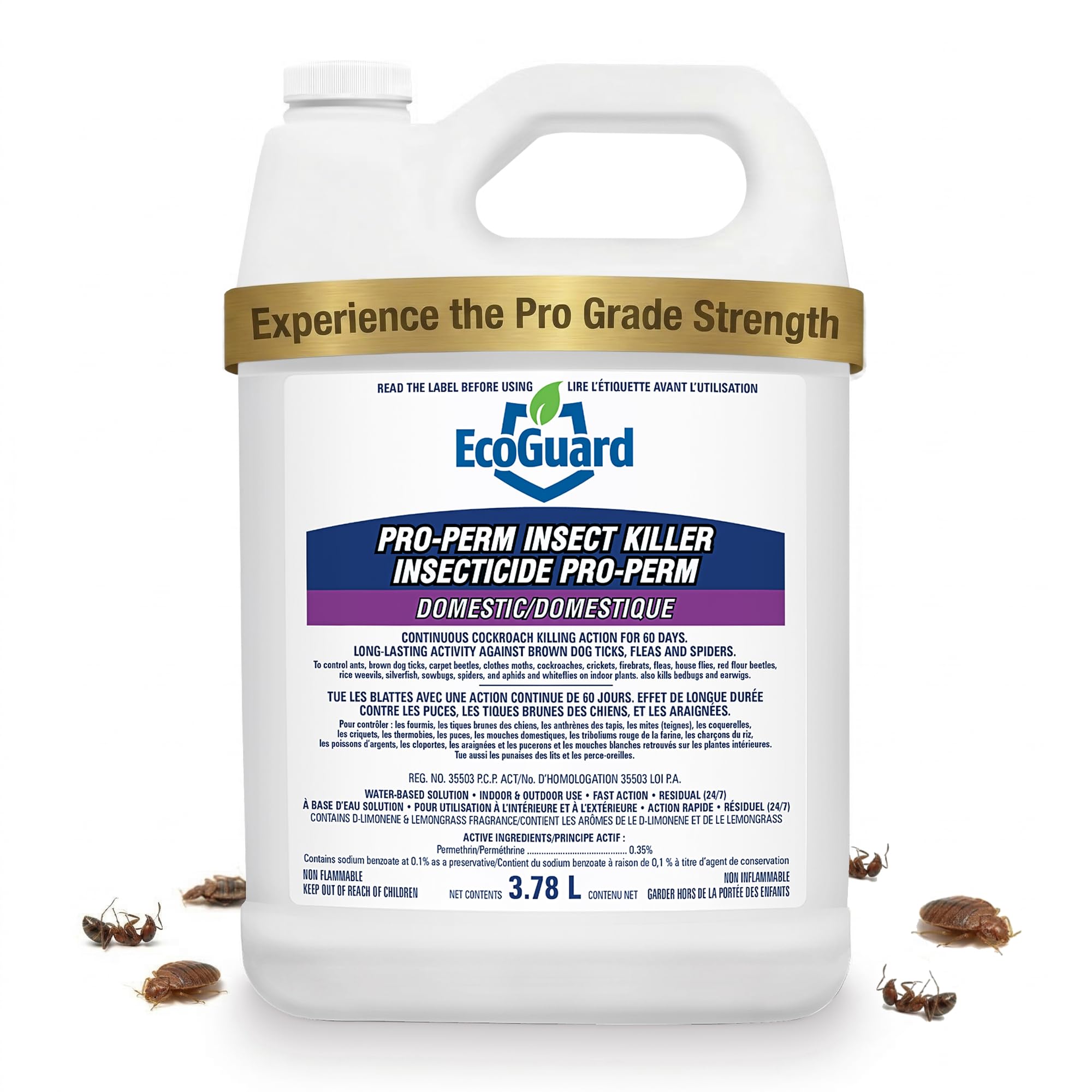 EcoGuard Pro-Perm Insect Killer 3.78L | Professional Insecticide with Fast-Acting Residual Formula | 60 Day Protection | Water-Based, Ready-to-Use Indoors & Outdoors | Sprayer Not Included
