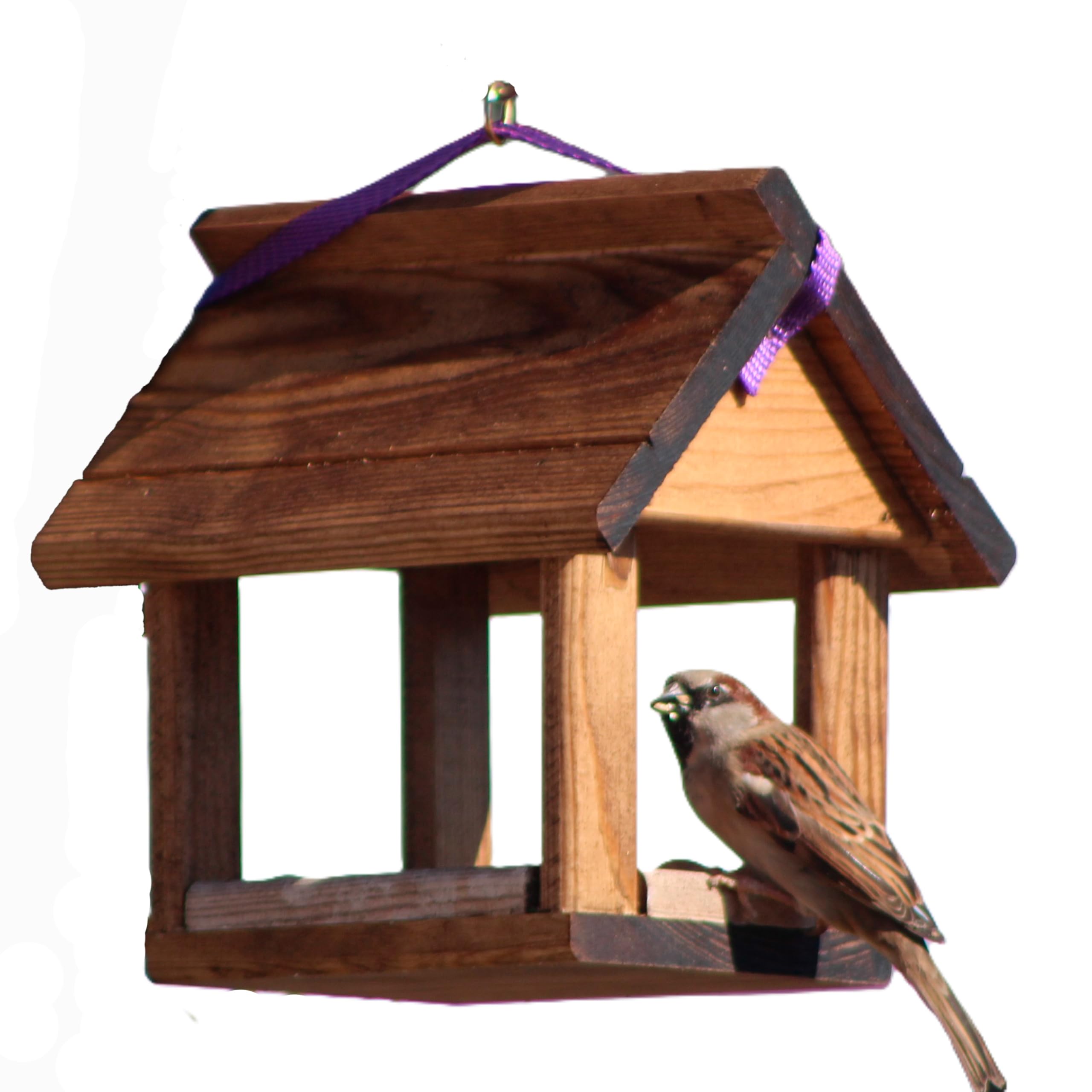 Comedero para pajaros Sparrow con bolsita pequeña de Comida para pajaros Silvestre.