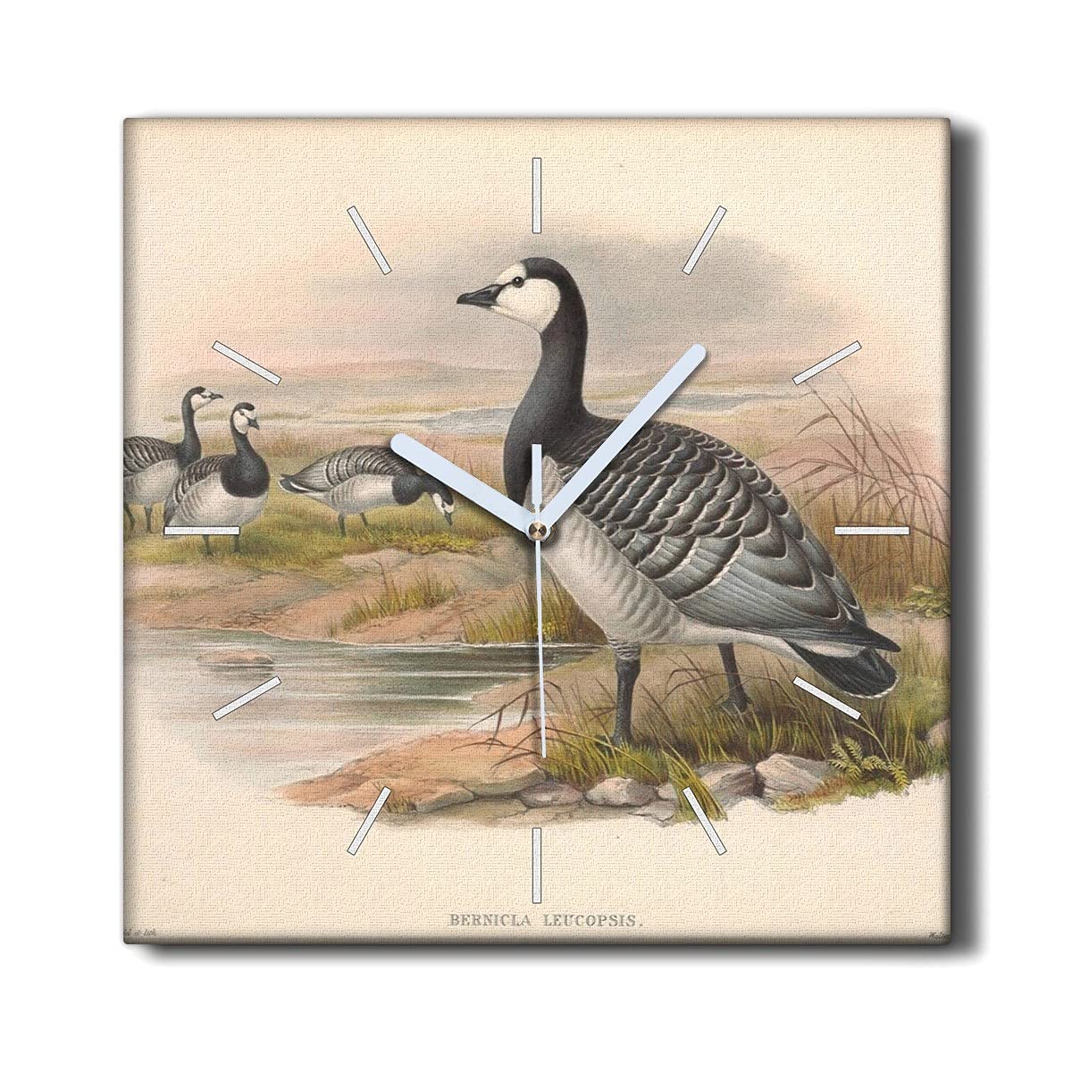 Horloge sur toile 30x30cm oiseaux deco murale salon silencieuse