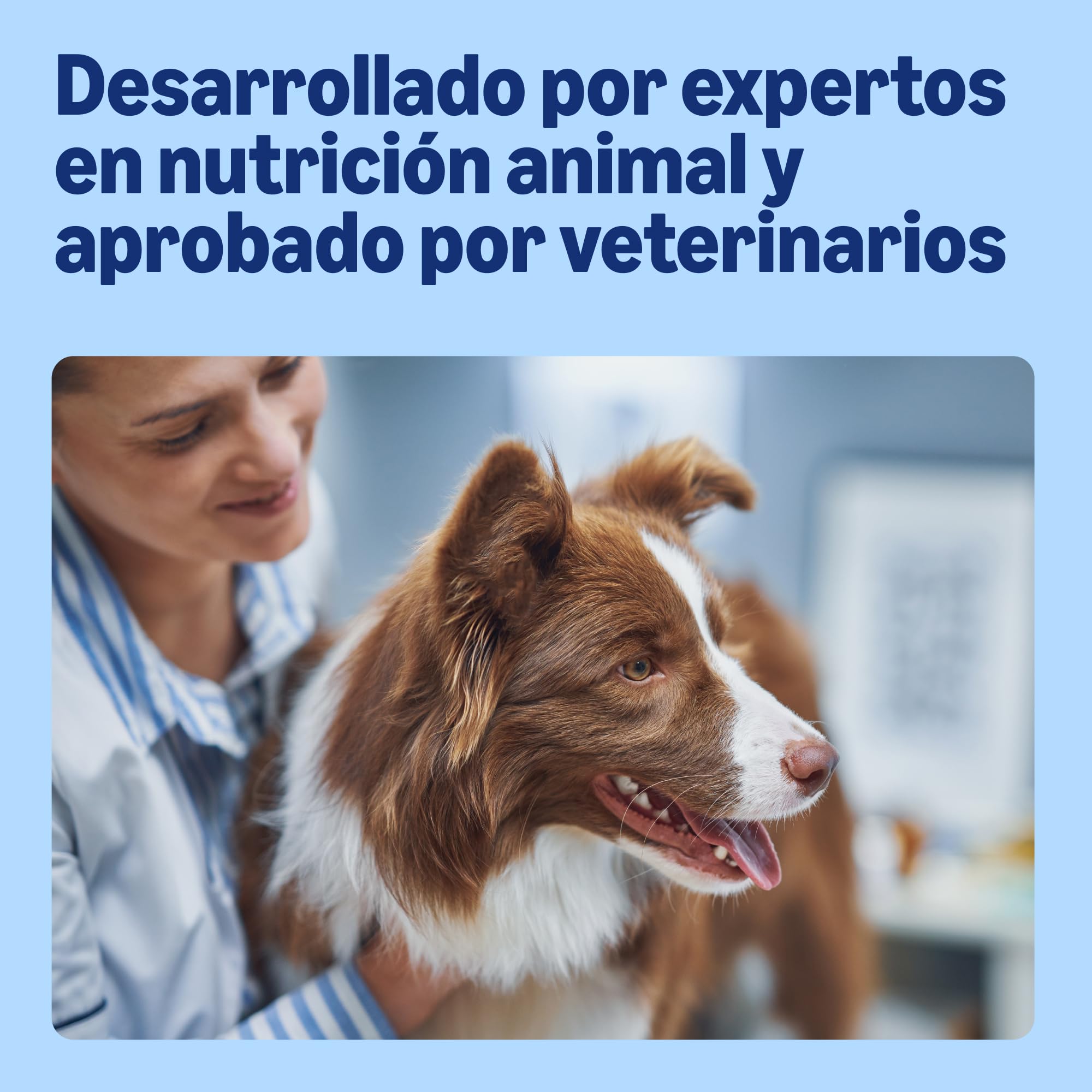 by Amazon - Alimento seco completo para perro adulto rico en pollo con guisantes, 20 kg (Paquete de 1)