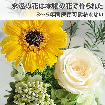 特選仏花　 ガラスドーム　大　(2個) 造花無し プリザーブドフラワー プリザーブドフラワー 仏花 ガラスドーム 特集