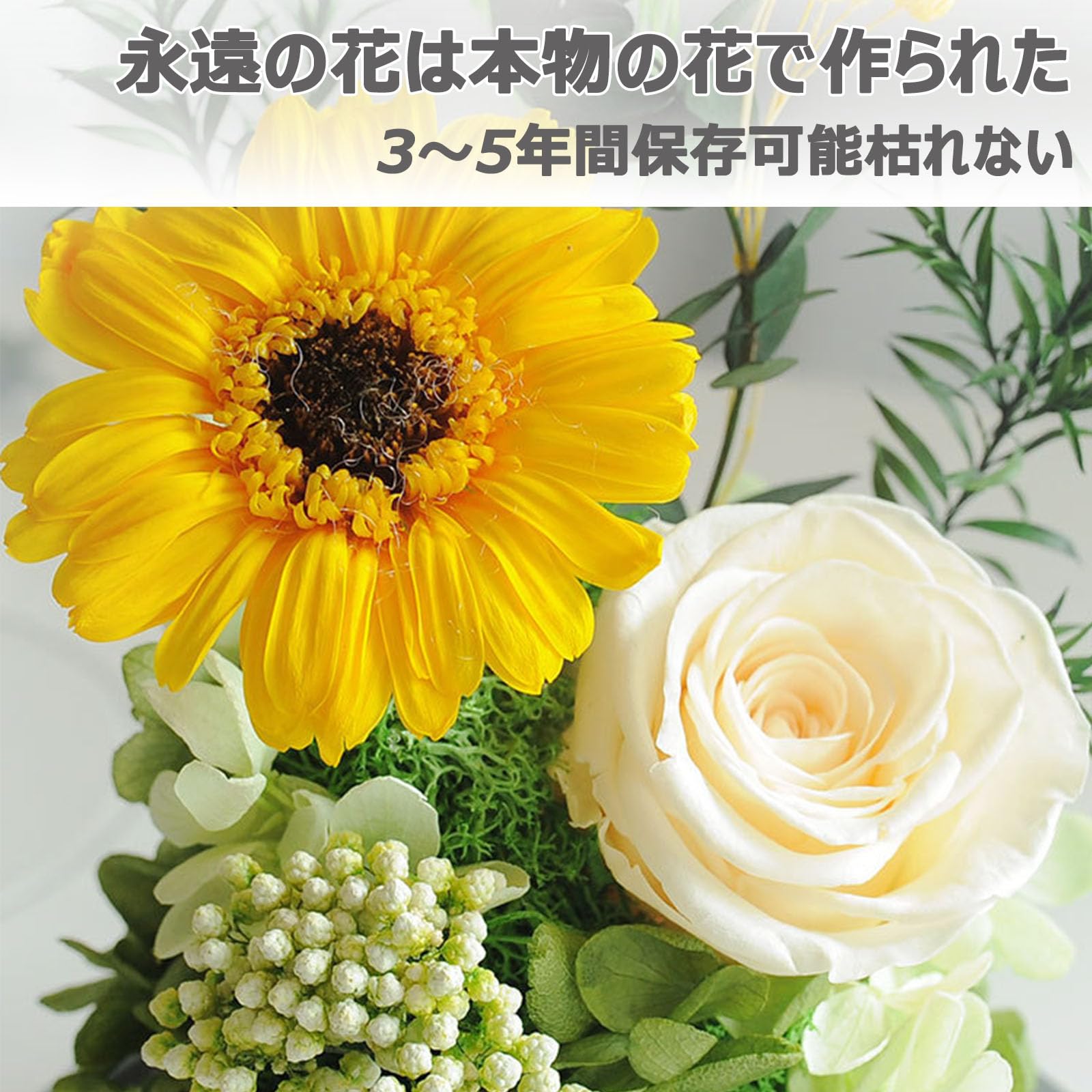 Amazon｜プリザーブドフラワー ガラスドーム プレゼント バラ 枯れない