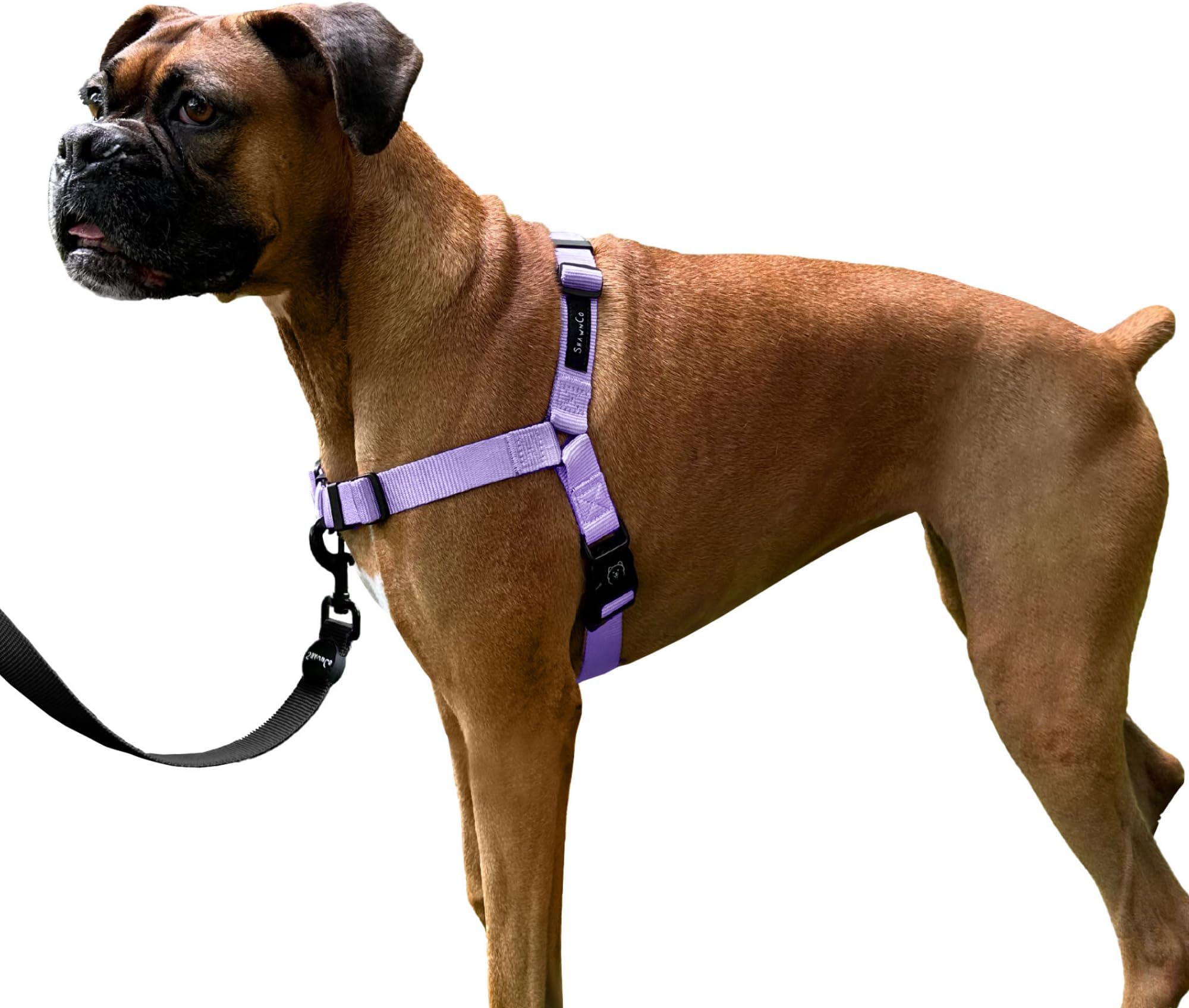 SENSEation NoPull Dog Harness Purple Medium Pet Supplies