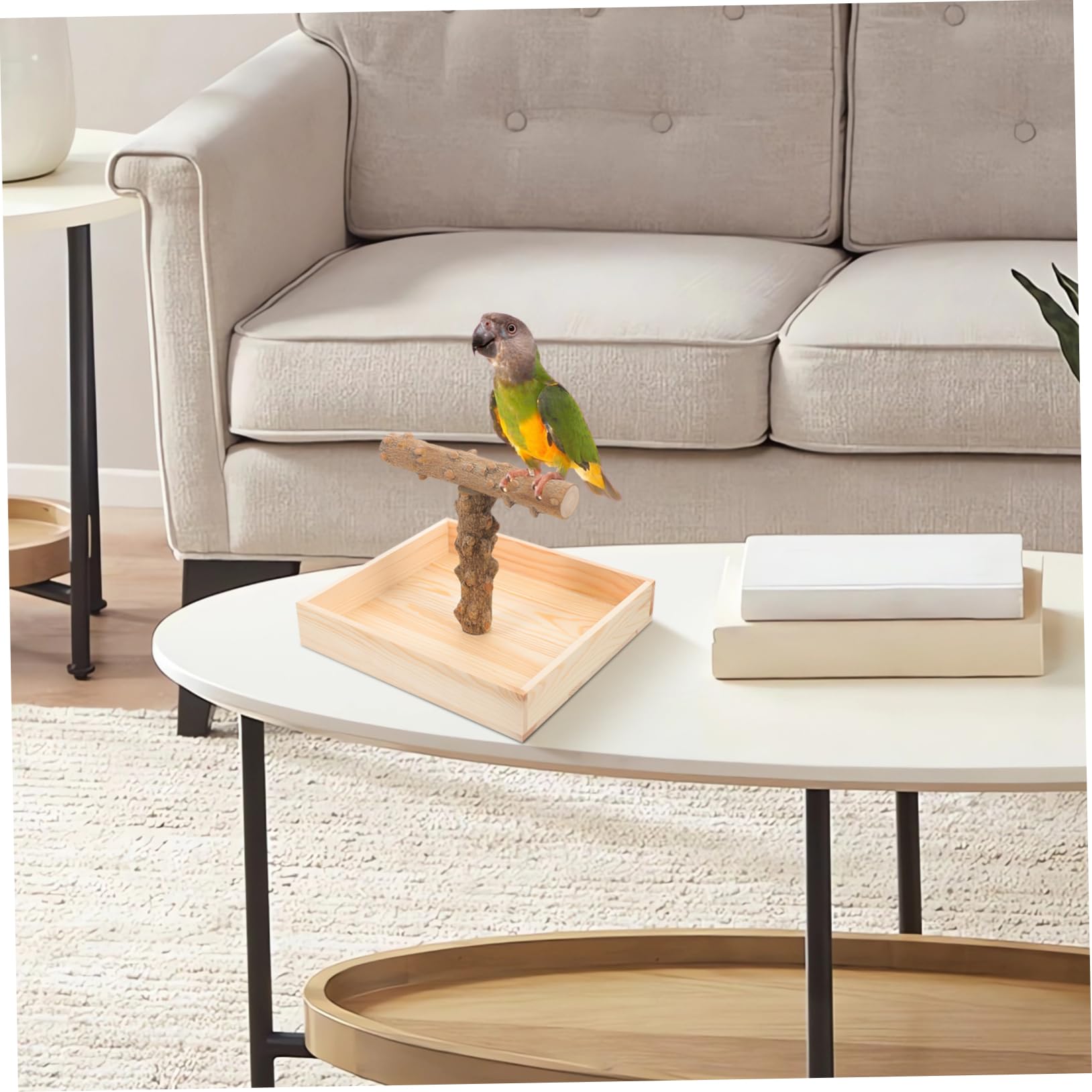 UPKOCH Percha de Madera para Loros, Soporte Estable para Aves en Escritorio, Juguete Decorativo para Pájaros