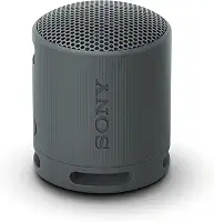 Sony SRS-XB100/B Sistemas de alto-falante sem fio portátil Preto