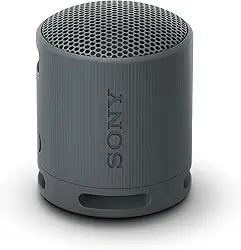 Sony SRS-XB100/B Sistemas de alto-falante sem fio portátil Preto