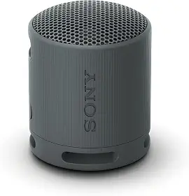 Sony SRS-XB100/B Sistemas de alto-falante sem fio portátil Preto