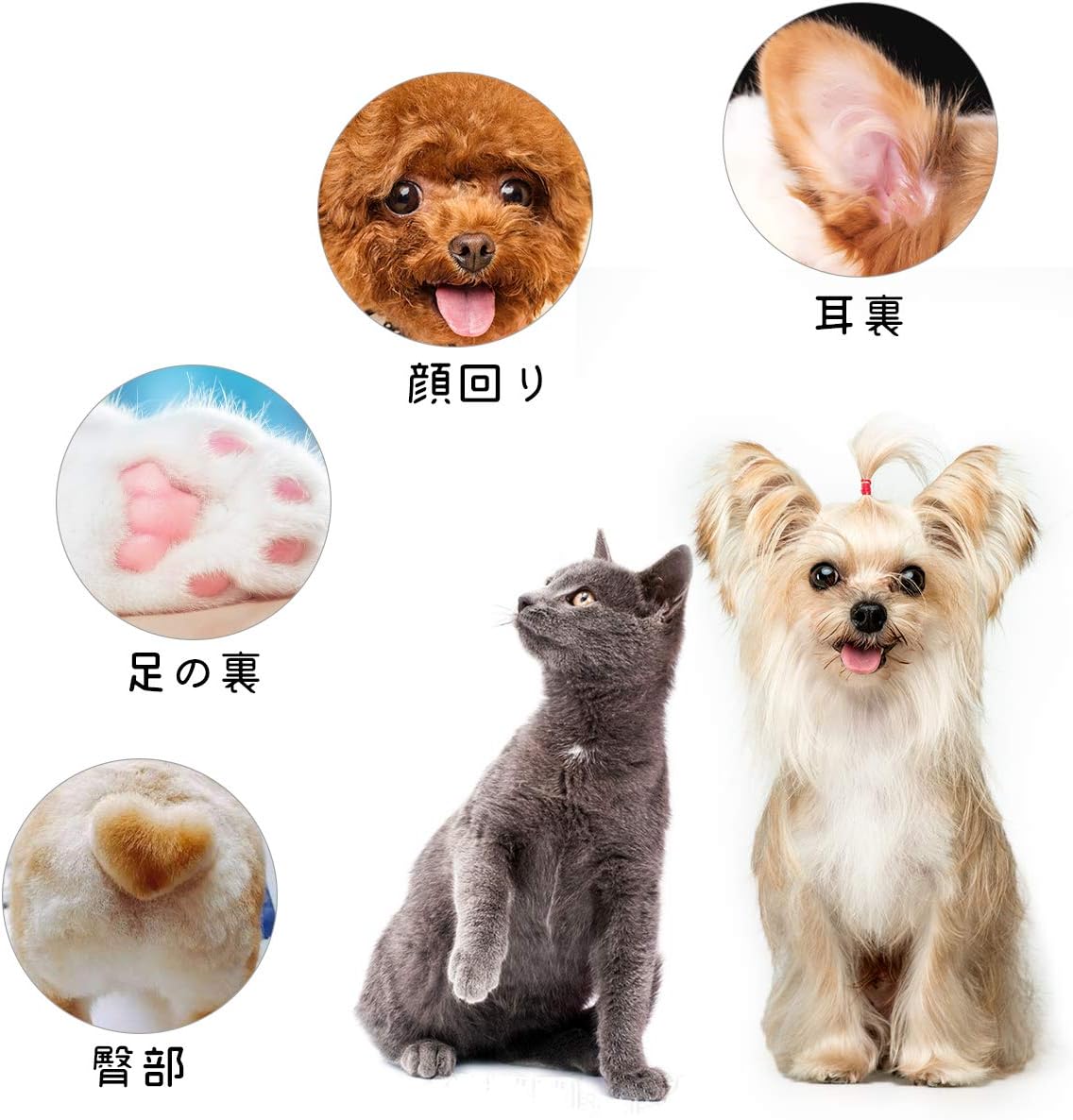 信頼 ペット バリカン 足裏 犬 犬用 猫 ネコ イヌ 部分用 静音 静か 肉球 足の裏 セルフカット 業務用 黒色spno Smileforvision Com