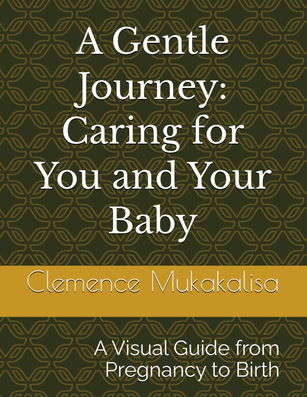 A Gentle Journey: Caring for You and Your Baby: A Visual Guide from Pregnancy to Birth