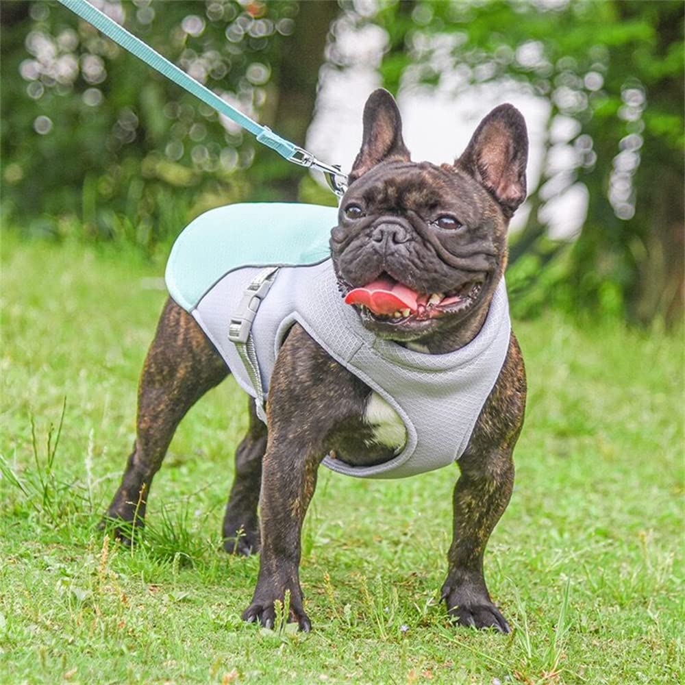 Hund Kühlweste,Mittelgroßen und großen Hunden Cooling Vest,Kühljacke,für Aktivitäten draußen, Wandern, Training,Hitzschlag bei Hunden vorbeugen-blau M